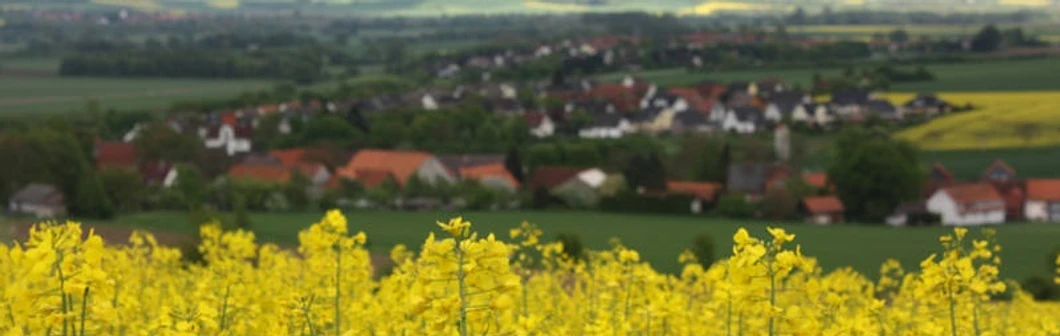Rapsblüte-Blick auf Sülbeck.jpg Rapsblüte-blick-auf-sülbeck