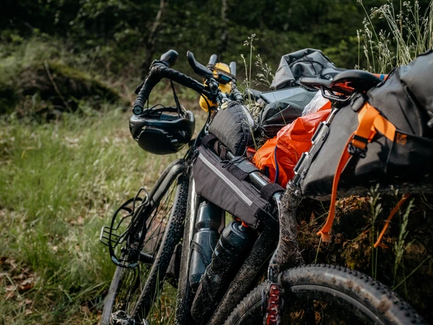 Reisebereites Fahrrad mit Gepäcktaschen steht in einem grünen Waldgebiet.