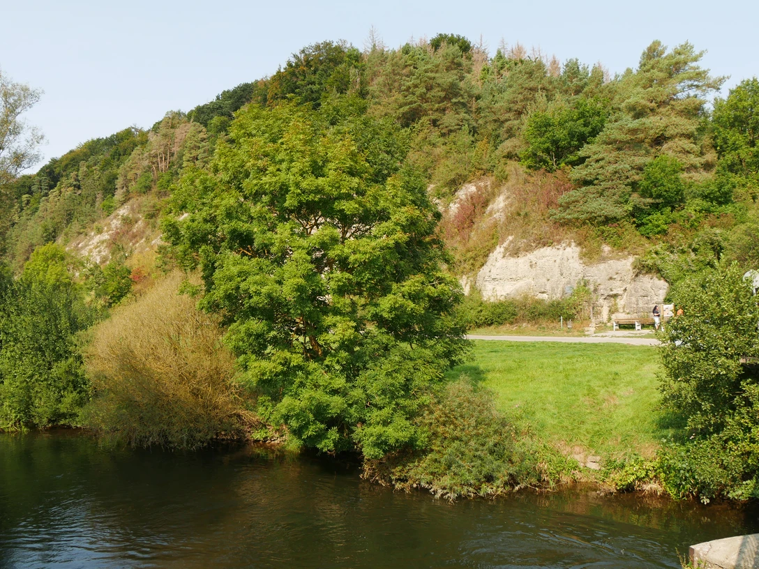 Schwiemelkopf an der Diemel Grüne Landschaft am Flusslauf der Diemel, umgeben von bewaldeten Hügeln und Kalkfelsen.