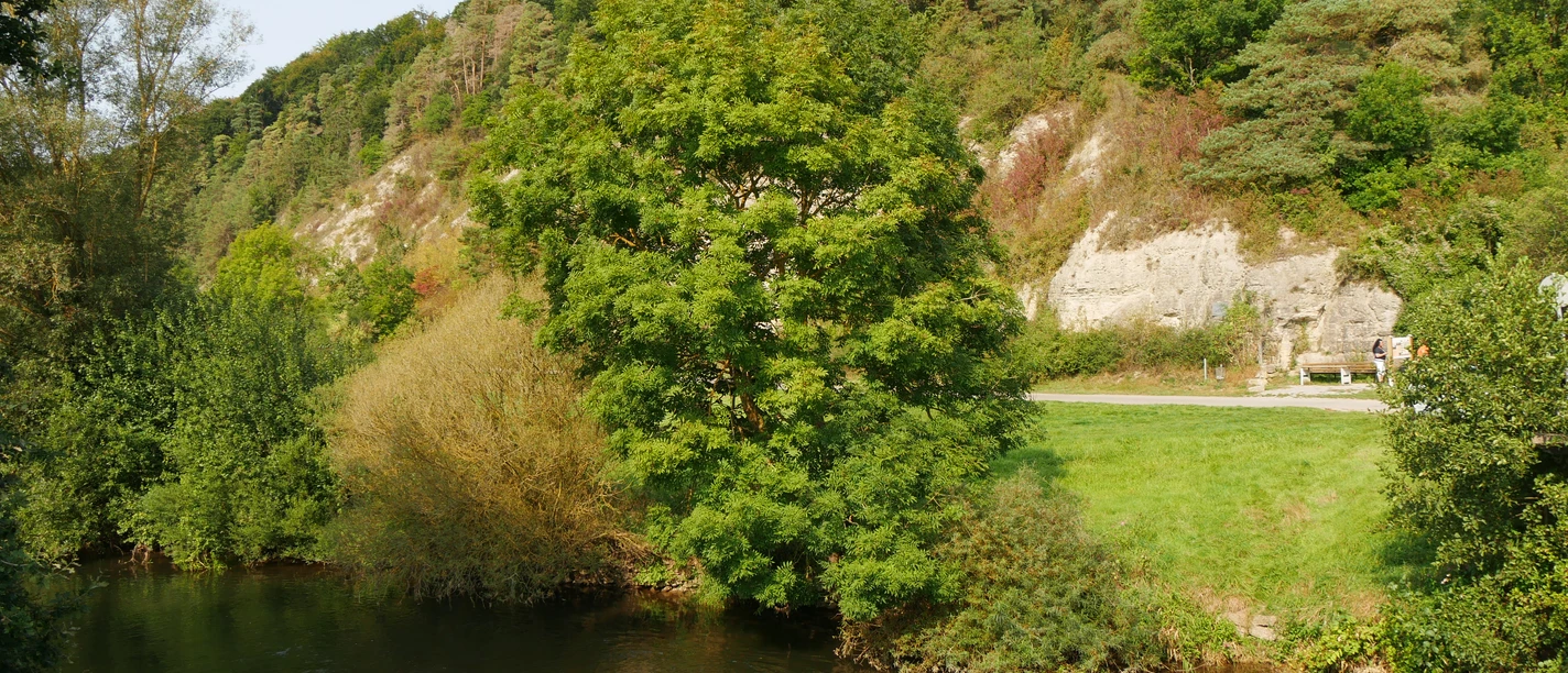 Schwiemelkopf an der Diemel Grüne Landschaft am Flusslauf der Diemel, umgeben von bewaldeten Hügeln und Kalkfelsen.