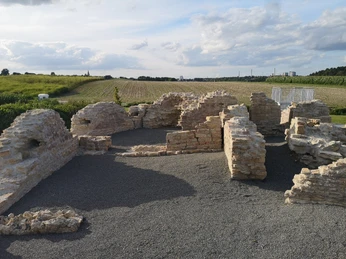 Mauerreste der Holsterburg inmitten grüner Felder unter einem leicht bewölkten Himmel.