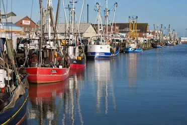 Fischmarkt - 2015.11.08 - 11.33.40.jpg