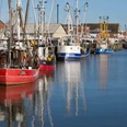 Fischmarkt - 2015.11.08 - 11.33.40.jpg