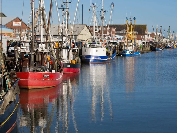 Fischmarkt - 2015.11.08 - 11.33.40.jpg