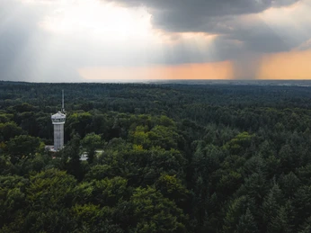 Wingst Aussichtsturm Deutscher Olymp Aussichtsturm Deutscher Olymp ragt aus dichtem Wald, Sonnenstrahlen brechen durch Wolken.The German Olympus observation tower rises out of the dense forest, the sun's rays break through the clouds.Det tyske Olympus-observationstårn rejser sig ud af den tætte skov, og solens stråler bryder gennem skyerne.De Duitse uitkijktoren Olympus rijst op uit het dichte bos, de zonnestralen breken door de wolken.