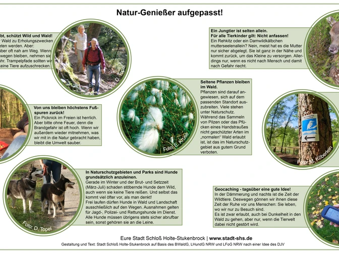 Informationsschild mit Naturschutz-Hinweisen, Bildern von Tieren und Menschen im Teutoburger Wald.