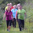Gruppe von Menschen beim Nordic Walking auf einem grasbewachsenen Pfad, umgeben von üppigem Grün.