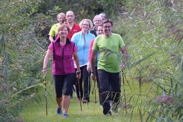 Nordic Walking Gruppe von Menschen beim Nordic Walking auf einem grasbewachsenen Pfad, umgeben von üppigem Grün.