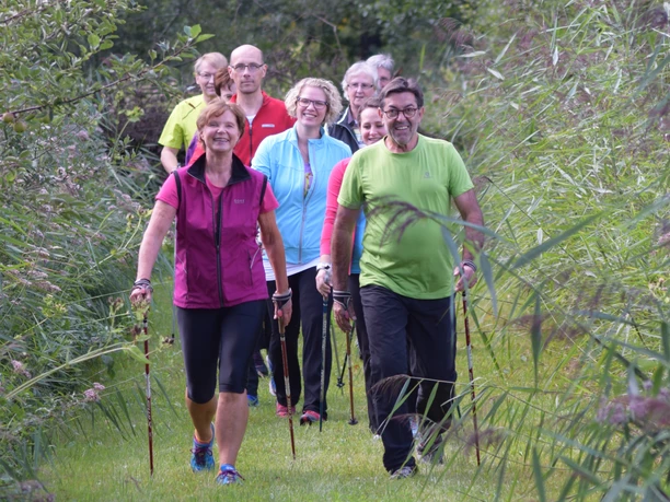 Nordic Walking Gruppe von Menschen beim Nordic Walking auf einem grasbewachsenen Pfad, umgeben von üppigem Grün.
