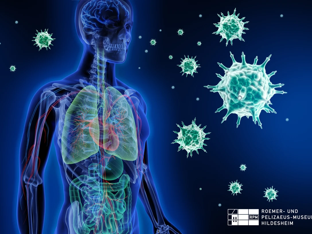 Sonderausstellung Seuchen im Roemer- und Pelizaeus-Museum Plakat für die Sonderausstellung Seuchen im Roemer- und Pelizaeus-Museum