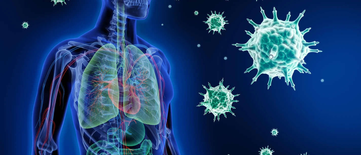 Sonderausstellung Seuchen im Roemer- und Pelizaeus-Museum Plakat für die Sonderausstellung Seuchen im Roemer- und Pelizaeus-Museum