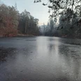 Teutoburger Wald / Detmold / Donoper Teich Gefrorener Teich im Teutoburger Wald, umgeben von schneebedeckten Bäumen in der Abenddämmerung.
