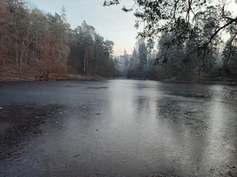 Teutoburger Wald / Detmold / Donoper Teich Gefrorener Teich im Teutoburger Wald, umgeben von schneebedeckten Bäumen in der Abenddämmerung.