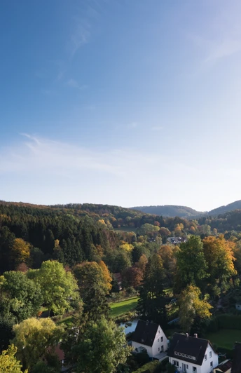 Herbstliche Landschaft mit am Waldrand; Blick über Wohnsiedlung mit Bäumen unter strahlend blauem Himmel.