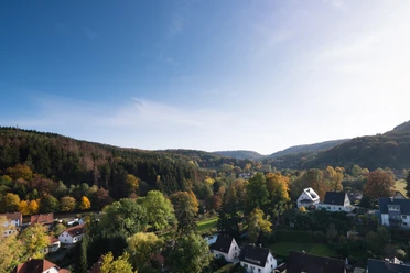 Berlebeck Herbstliche Landschaft mit am Waldrand; Blick über Wohnsiedlung mit Bäumen unter strahlend blauem Himmel.