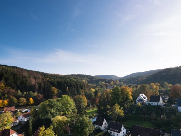 Berlebeck Herbstliche Landschaft mit am Waldrand; Blick über Wohnsiedlung mit Bäumen unter strahlend blauem Himmel.