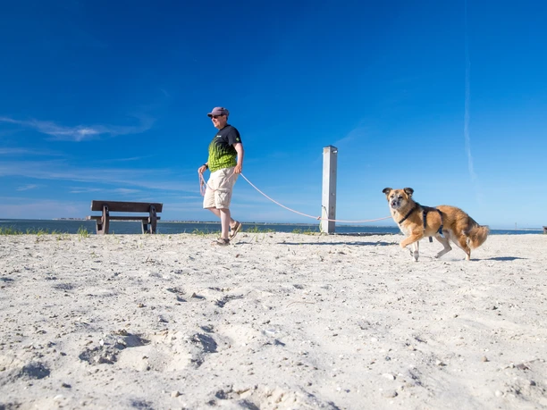 Hundestrand Neßmersiel Hundestrand Nessmersiel