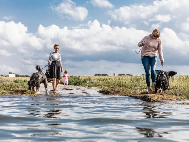 Hundestrand Einstieg am Hellerpad
