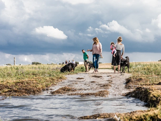 Hundestrand Einstieg am Hellerpad