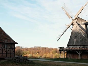 Einblicke in das LWL-Freilichtmuseum Eine historische Windmühle mit hölzernem Aufbau und drehenden Flügeln in einer herbstlichen Landschaft.