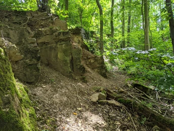 Fossiliengrund©Tourist-Information Lage.jpg Ein Fossilienfundort im Wald mit sichtbaren Felsformationen und umliegender üppiger Vegetation.