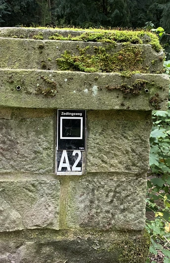 Zedlingsweg Steinbrücke mit moosbewachsenem Pfeiler des Zedlingswegs, umgeben von üppiger Waldvegetation.
