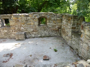 Teilweise erhaltene Ruinenmauern einer alten Burg, umgeben von üppigem Grün und Pflanzen.