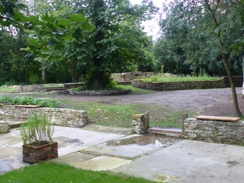 Alte Burg 2_©Margarete Wißmann.JPG Alte Steinmauern und überwachsene Ruinen umgeben von dichten Bäumen in einer ruhigen Waldumgebung.