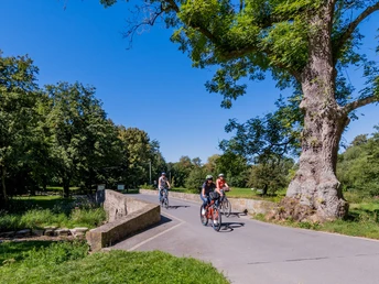 Almeradweg | Almebrücke bei Wewelsburg Almeradweg | Almebrücke bei Wewelsburg