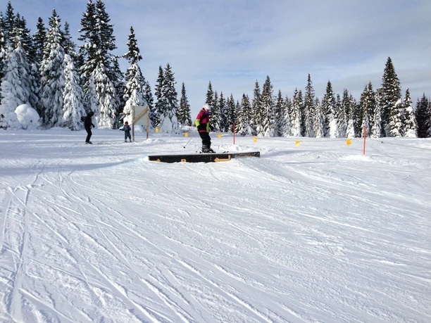 Kinder-Skikurs Sport Frey Ski Hindernis