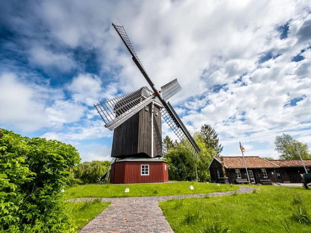 Bockwindmühle Dornum