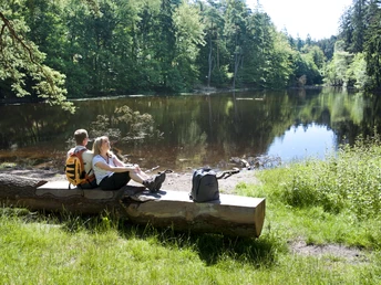 Donoper Teich Zwei Personen sitzen auf einem Baumstamm an einem ruhigen Waldsee, umgeben von Bäumen im Sonnenlicht.