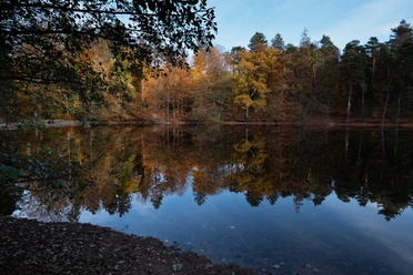 Donoper Teich Herbstlaub reflektiert im ruhigen Wasser des Donoper Teichs, umgeben von dichten Wäldern.