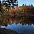 Donoper Teich Herbstlaub reflektiert im ruhigen Wasser des Donoper Teichs, umgeben von dichten Wäldern.