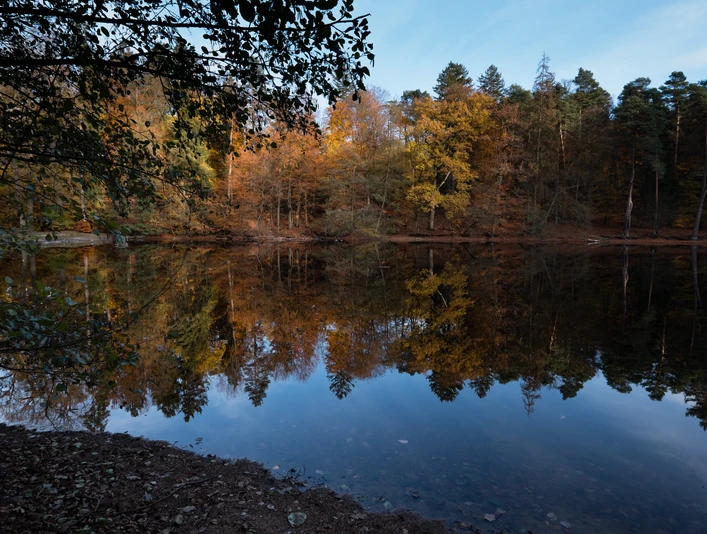 Donoper Teich Herbstlaub reflektiert im ruhigen Wasser des Donoper Teichs, umgeben von dichten Wäldern.