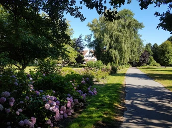 Park HolsingVital .jpg Blühende Hortensien säumen einen Pfad im Parkbereich, umgeben von üppigen Bäumen und Rasenflächen.