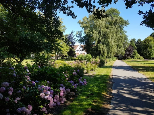 Park HolsingVital .jpg Blühende Hortensien säumen einen Pfad im Parkbereich, umgeben von üppigen Bäumen und Rasenflächen.