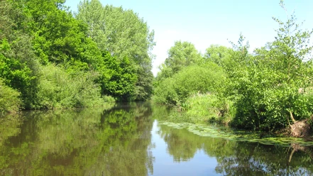 Wasserwandern auf der Oste Wasserwandern auf der Oste