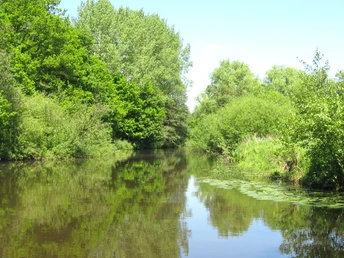 Wasserwandern auf der Oste Wasserwandern auf der Oste