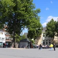 Ein belebter Marktplatz mit historischen Gebäuden, großen Bäumen und Menschen, die flanieren und sitzen.