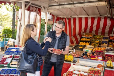 wochenmarkt-bad-zwischenahn-obst.jpg Ein Wochenmarktstand mit frischem Obst: Verkäufer reicht einer Kundin lächelnd Erdbeeren.