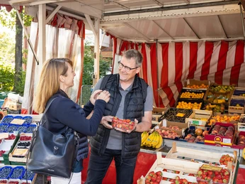 wochenmarkt-bad-zwischenahn-obst.jpg Ein Wochenmarktstand mit frischem Obst: Verkäufer reicht einer Kundin lächelnd Erdbeeren.