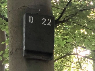 FledermauskastenNERvO.jpg