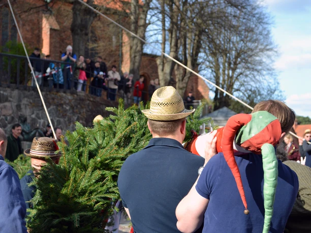 Der Maibaum wird aufgerichtet