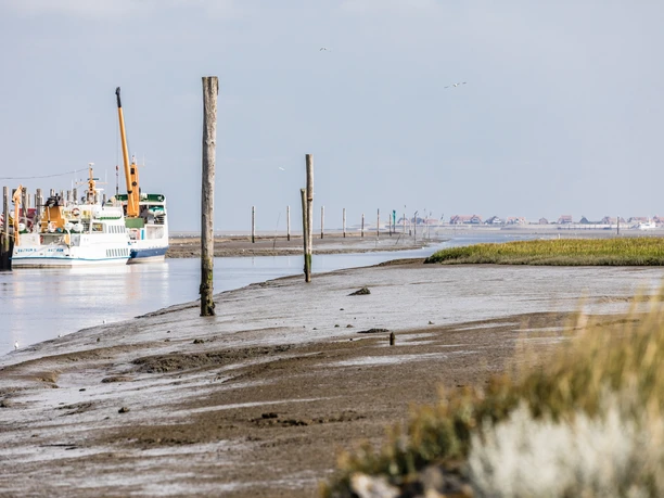 Hafen Neßmersiel Nordsee