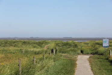 Durch die Salzwiesen zum Naturstrand.JPG