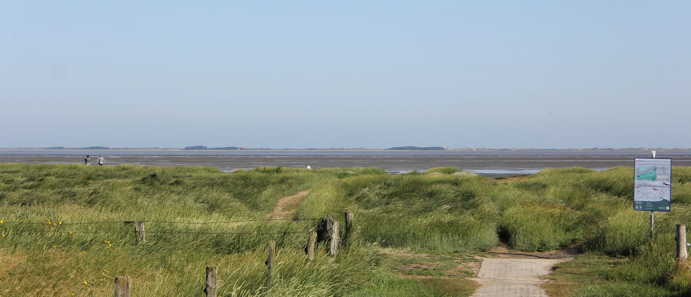 Durch die Salzwiesen zum Naturstrand.JPG