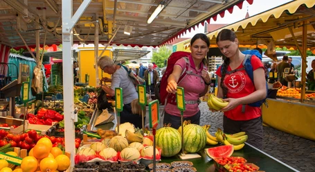 osnabrueck_markt_foto_klaus_herzmann.jpg