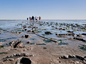 Dornumersiel - Wattführung.jpg