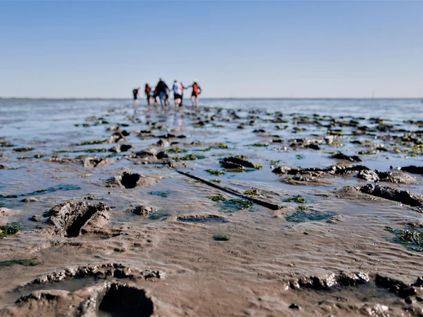 Dornumersiel - Wattführung.jpg